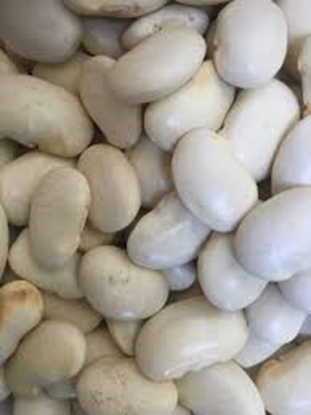 Picture of BUTTER BEANS 3KG